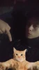 Profile picture of Yehudi