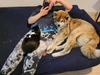Photo de profil de Juliette