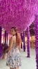 Duab profile ntawm Rio