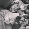 Profilbild von Ty