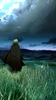 Profile picture of -