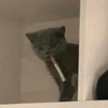 Leinad 的個人照片