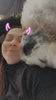 Larawan ng profile ni Kitty