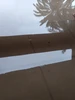 BluBlu جي پروفائيل تصوير