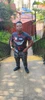 Profile picture of Khothatso