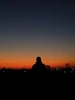 Profile picture of Boro
