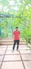 Larawan ng profile ni Akash Kumar Kushwaha