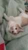 Profile picture of Olivia