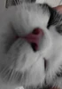 Profile picture of Maria