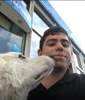 Profilbild von Beni
