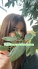 Photo de profil de Josephine