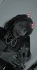 Profile picture of Rubis