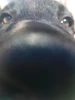Profile picture of Mason