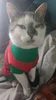 Profile picture of Pavel