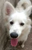 Profile picture of Laria