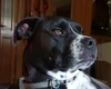 Profile picture of Cyne