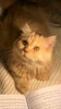 Profile picture of Nayluv