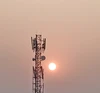 Muskan的头像