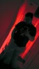 Profile picture of Ben
