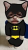 Profile picture of Mohamed S4ito