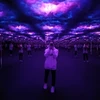 Profile picture of Lavender