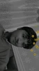 Profile picture of Shobhit