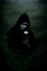 Profile picture of Sim