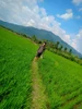 Foto profil Bungsu