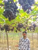 Profile picture of Bharath Vipin