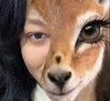 Profile picture of Soso