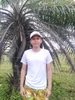 Foto de perfil de Nicolás