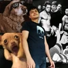 Foto de perfil de Lazaro