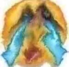 Profile picture of M