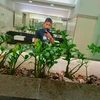 Foto de perfil de Kaifem