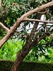 Profile picture of Gopiraj
