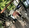 Foto profil Sieghart