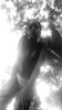 Foto pwofil Dorothy