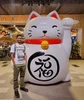 Foto de perfil de Pranav