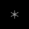 Profile picture of Avcn