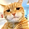 OmaR ulanyjynyň profil suraty