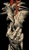 Profile picture of King