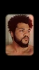 Anthony的头像