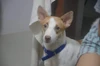 Hulagway sa profile ni Jay