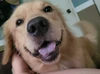 Foto profil ARES