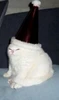 Profile picture of Jeb