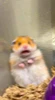 Profile picture of Delilah