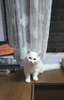 Ash的头像