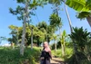 Lenimar 的個人照片