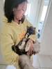 Foto profaịlụ Moe