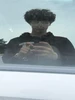 Profile picture of D